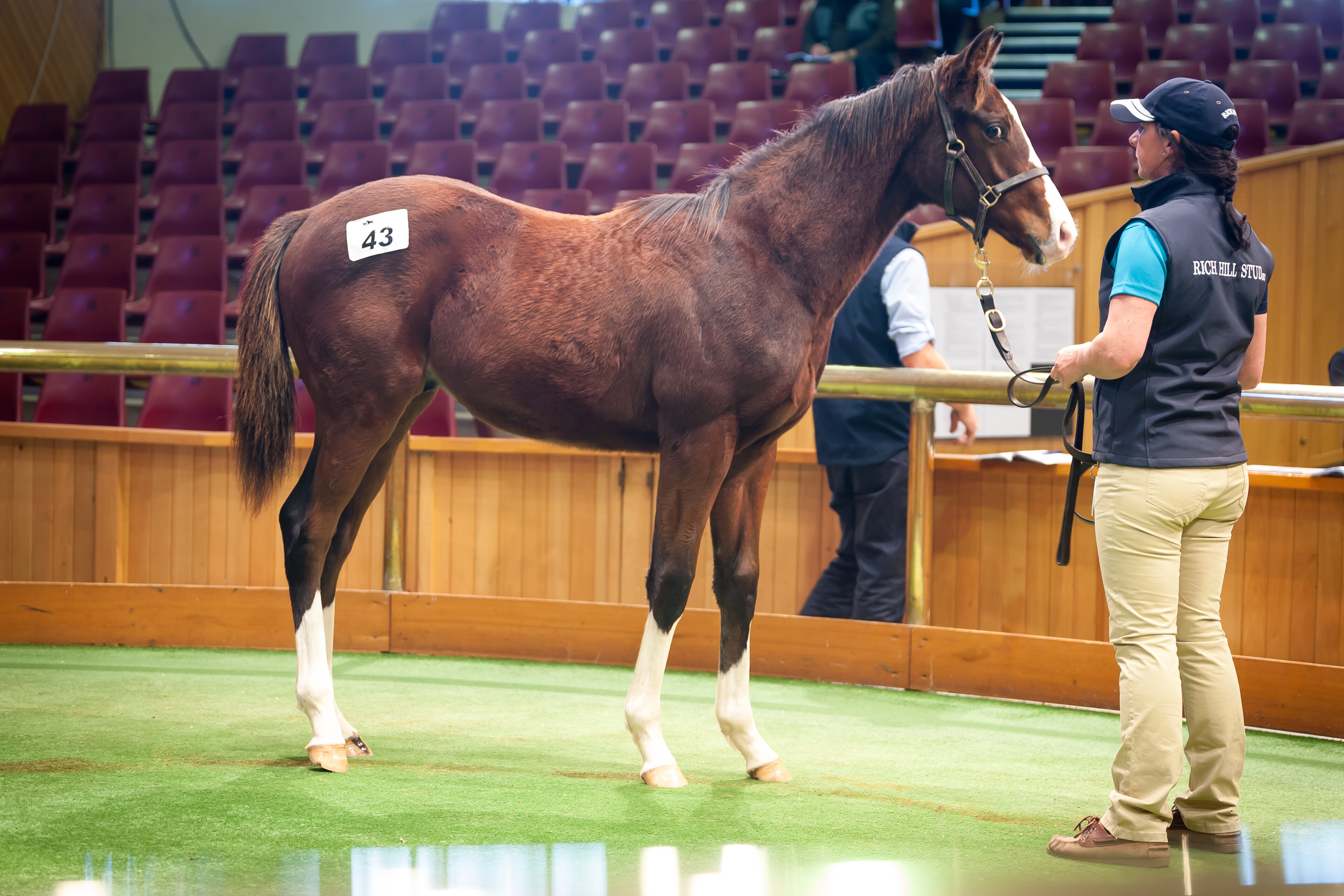 Tokyo Tycoon Weanling